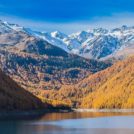 Tyrol Hotel 3*